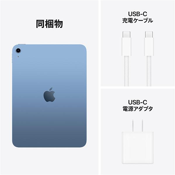 Apple Wi-Fi iPad（A16/2025） 128GB ブルー MD4A4J/A 5