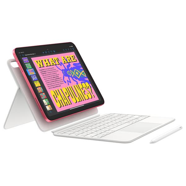 Apple Wi-Fi iPad（A16/2025） 128GB ピンク MD4E4J/A 2