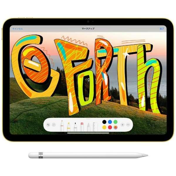 新品iPad 10.9インチ 第10世代 Wi-Fi 64GB 2022年秋モデル MPQ13J/A ブルー 4