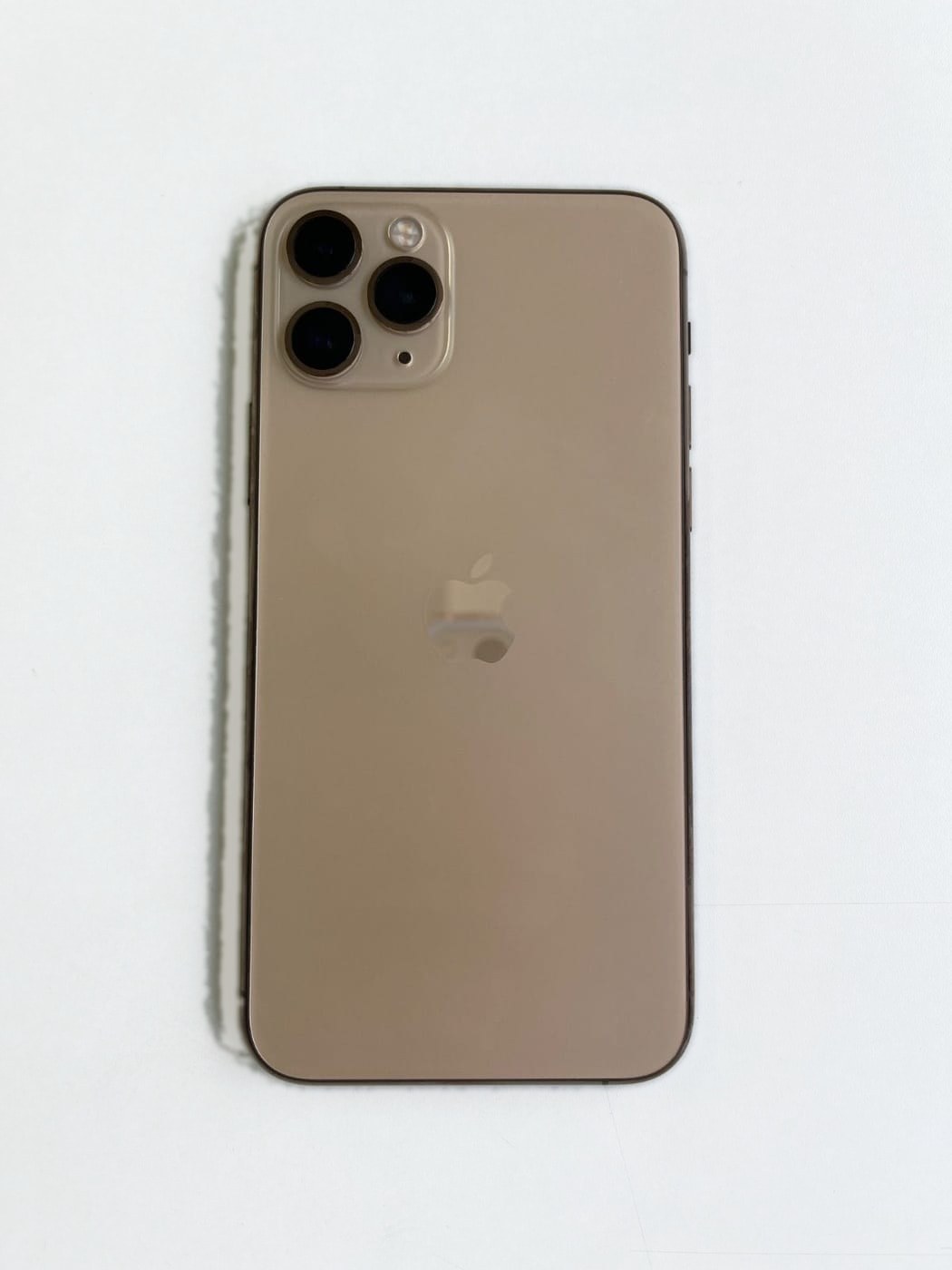境目はiPhone 11とiPhone SE(第2世代)