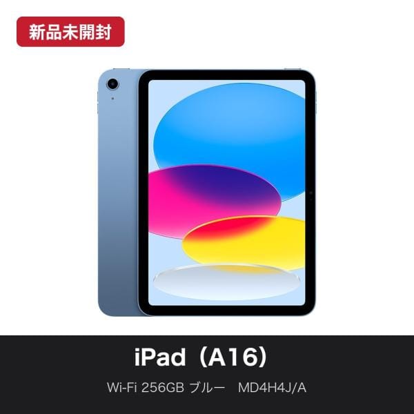 Apple Wi-Fi iPad（A16） 256GB ブルー MD4H4J/A