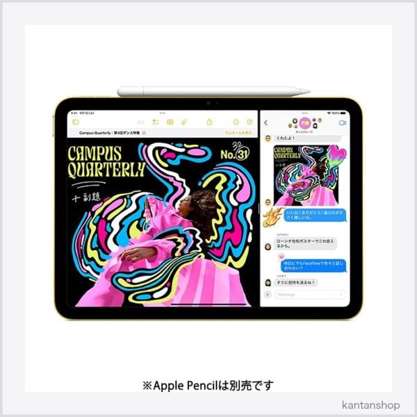 Apple Wi-Fi iPad（A16） 256GB ブルー MD4H4J/A 2