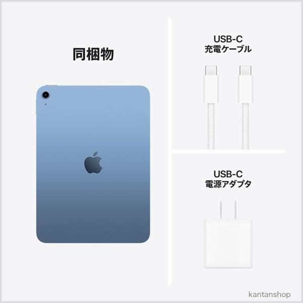 Apple Wi-Fi iPad（A16） 256GB ブルー MD4H4J/A 5