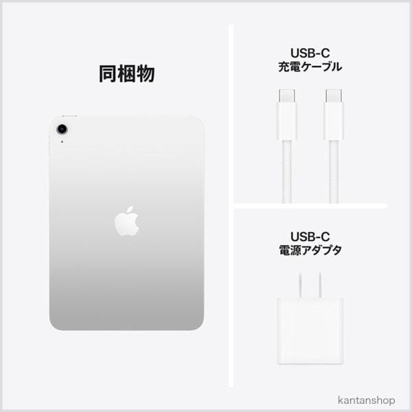 Apple Wi-Fi iPad（A16） 256GB シルバー MD4G4J/A 5