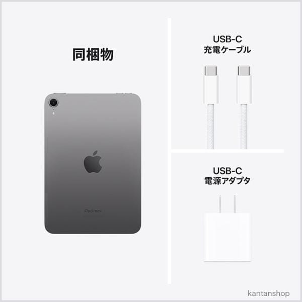Apple Wi-Fi iPad mini（A17 Pro） 128GB スペースグレイ MXN63J/A 5