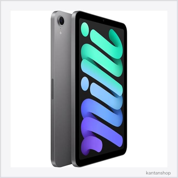 Apple Wi-Fi iPad mini（A17 Pro） 256GB スペースグレイ MXNA3J/A 2
