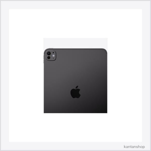 Apple Wi-Fi iPad Pro 11インチ（M5） 256GB スペースブラック MDWK4J/A 2